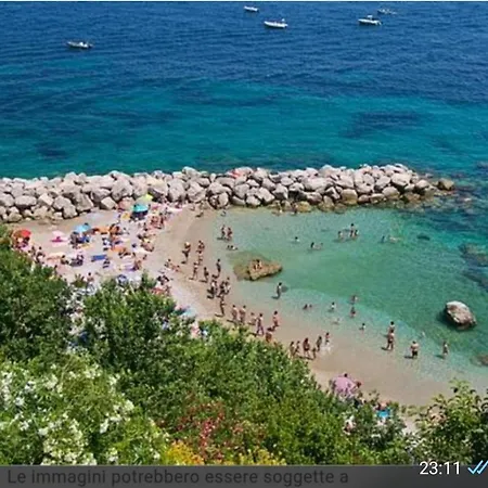 Aquarium Family * Capri