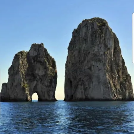 Nyaraló Aquarium Family