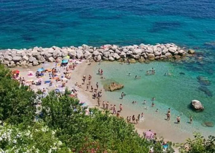 Aquarium Family * 카프리