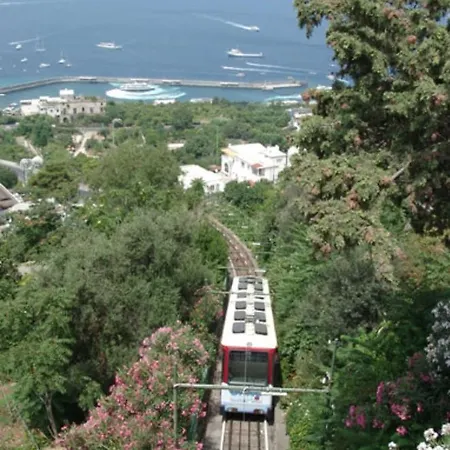 Aquarium Family Hébergement de vacances Capri